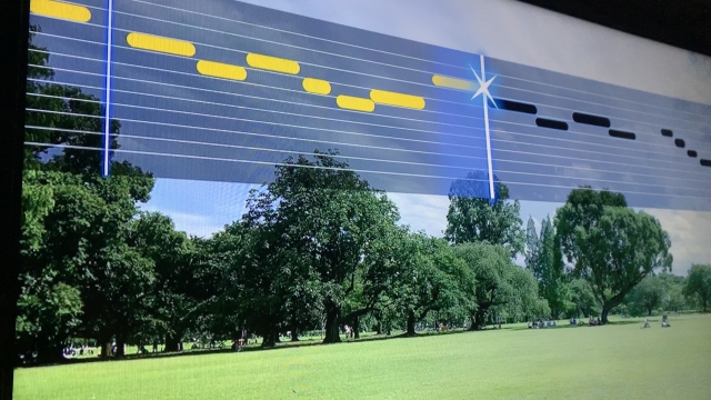 採点機能は使う方が盛り上がる(最近は採点する方が一般的)